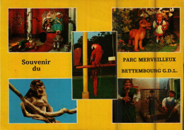 BETTEMBOURG - Souvenir Du PARC MERVEILLEUX - Bettemburg