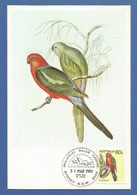 Australien 1980  Mi.Nr. 707 , King Parrot - Maximum Card - First Day Of Issue 31 Mar 1980 - Cartoline Maximum