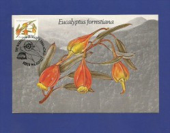 Australien 1982  Mi.Nr. 819 E , Eucalyptus Forrestiana 27c - Maximum Card - First Day 17 NOV 1982 - Maximumkaarten