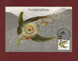 Australien 1982  Mi.Nr. 818 D , Eucalyptus Globulus 10c - Maximum Card - First Day 17 NOV 1982 - Cartas Máxima