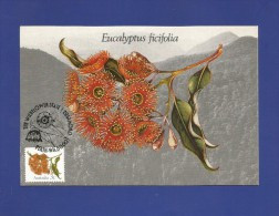 Australien 1982  Mi.Nr. 817 D , Eucalyptus  Ficifolia 3c - Maximum Card - First Day 17 NOV 1982 - Cartes-Maximum (CM)
