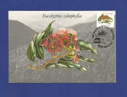 Australien 1982  Mi.Nr. 815 D , Eucalyptus  Calophylla 1c - Maximum Card - First Day 17 NOV 1982 - Cartas Máxima