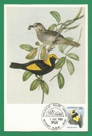 Australien 1980  Mi.Nr. 716 , Regent Bower Bird - Australian Birds - Maximum Card - First Day Of Issue 1Jul 1980 - Maximumkaarten