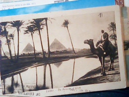 EGYPT CAIRO CAMMELLO E PIRAMIDI  V1927 JM2016 - Pyramides