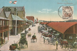 BERMUDA - STEAMER DAY - PUB. BY WEISS N° 135 -1915 - Bermudes