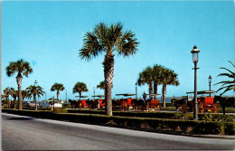 Florida St Augustine Sightseeing Carriages Along The Bay Front - St Augustine