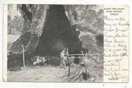 Cp, NOUVELLE ZELANDE, NEW ZEALAND, GIANT TEA CAMP, KING PARROT CREEK, 2 Scans , Voyagée - Nouvelle-Zélande