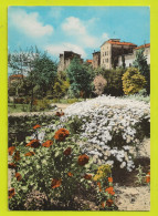 06 SAINT LAURENT DU VAR N°117 19 Ses Jardins Fleuris En 1969 VOIR DOS - Saint-Laurent-du-Var