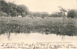 Bussum Weide In Het Bosch Van Bredius ZW114 - Bussum