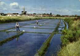 Salines à Bourgneuf En Retz - Bourgneuf-en-Retz