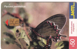 URUGUAY - Butterfly, Parides Perrhebus(245a), Chip GEM3.1, 08/02, Used - Butterflies