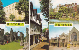 NORWICH, CASTLE MUSEUM, SANDRINGHAM, HOUSE, ACRE, PRIORY, SWAFFHAM, TRINITY GUILDHALL, KINGS LYNN, ELM, UNITED KINGDOM - Norwich