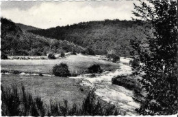 DAVERDISSE - Confluent De La Lesse Et De L'Almache - Edit. G. Lemaire, Epicerie, Souvenirs, Daverdisse - Obl. De 1960 - Daverdisse