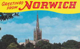 NORWICH CATHEDRAL, CHURCH, NORFOLK, UNITED KINGDOM - Norwich