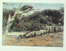 Madagascar Cimetière Hova - Prints & Engravings