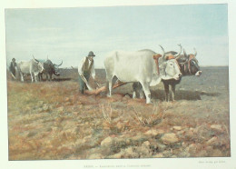 Italie Laboureurs En Campagne Romaine - Prints & Engravings