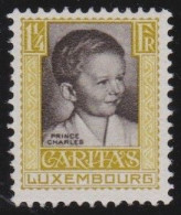 Luxembourg    .   Y&T     .     229    .    **      .      Neuf Avec Gomme Et SANS Charnière - 1926-39 Charlotte De Perfíl Derecho