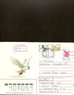 Lettre Russie 1994 Tarif Intérieur - Storia Postale