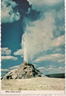 White Dome Geyser , Yellowstone - Yellowstone