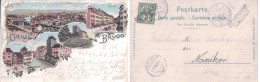 Gruss Aus Brugg Litho, Cachet Linéaire "NEUHENHOF (AARGAU)" (15.6.99) - Brugg