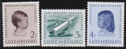 Luxembourg    .   Y&T     .    528/530    .    **      .      Neuf Avec Gomme Et SANS Charnière - Neufs