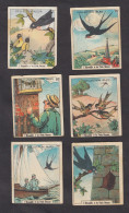 LOT DE 6 CHROMOS - IMAGES CHOCOLAT IBLED ET BLEDA - FABLES DE LA FONTAINE - L'HIRONDELLE ET LES PETITS OISEAUX - Ibled