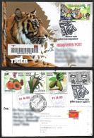 India 2023 International Tiger Day, Endangered, Animal, Panthera Tigris, Registered Cover (**) Inde Indien - Otros & Sin Clasificación