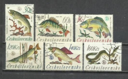 7529-CHECOSLOVAQUIA REPUBLICA CHECA SERIE COMPLETA 1966 Nº 1475/1480 PECES FAUNA MARINA. - Collections, Lots & Series