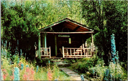 Canada Yukon Dawson City Robert Service's Cabin - Yukon