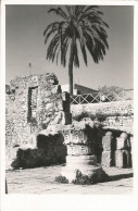 PALESTINE - SAINTE ANNE - JERUSALEM - PISCINE PROBATIQUE -  MOUSTIER DE L'ANGE - CHURCH OF THE ANGEL - 1953 - Palestine