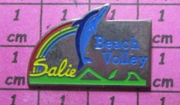 1122 Pin's Pins / Beau Et Rare / SPORTS / SALIE BEACH VOLLEY DAUPHIN BLEU - Voleibol