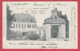 Hoeselt - Chateau De Terbosch - 1905  ( Verso Zien ) - Hoeselt