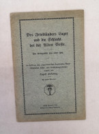 Des Friedländers Lager Und Die Schlacht Bei Der Alten Veste. - 4. 1789-1914