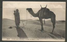 Carte P De 1924 ( Types And Scenes / Prayer In Desert ) - Pirámides