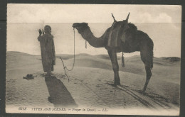 Carte P De 1924 ( Types And Scenes / Prayer In Desert ) - Pyramides