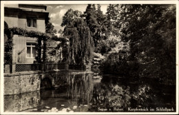 CPA Żagań Sagan Schlesien, Karpfenteich, Schlosspark - Schlesien