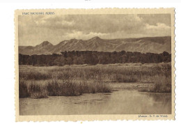 Plaine Du Lac Edouard.Environs De Bitshumbi.Marais,Galerie D'euphorbes. - Congo Belge