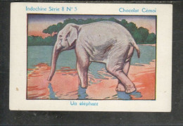 Chromo INDOCHINE ELEPHANT Pub: Chocolat Cémoi Bien 2 Scans Colonies Françaises - Autres & Non Classés