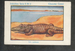 Chromo INDOCHINE Caïman Crocodile Pub: Chocolat Cémoi Bien 2 Scans Colonies Françaises - Andere & Zonder Classificatie