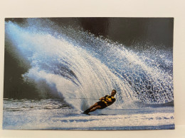 Surfing, Sport Postcard - Wasserski