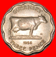* GREAT BRITAIN (1956-1959): GUERNSEY  3 PENCE 1956 COW! ELIZABETH II (1953-2022) ·  LOW START · NO RESERVE! - Guernesey