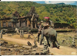 LAOS PROVINCE DE CHAMPASSAK - ELEPHANT - Laos