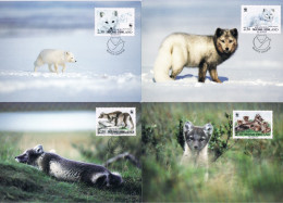 Finlande - WWF : Renard Arctique (Alopex Lagopus) CM 1166/1169 (année 1993) - Cartoline Maximum