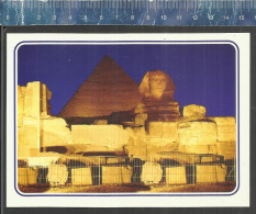 GIZA - PYRAMIDS - AHMED ATTALLAH ROUND THE PYRAMIDS ( CAMELS ) - ATTALIA CARDS - Pyramides