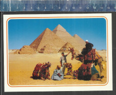 GIZA -  PYRAMIDS - AHMED ATTALAH ROUND THE PYRAMIDS  ( CAMELS ) - ATTALIA CARDS - Pyramides