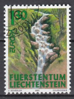 Liechtenstein  Europa Cept 2001 Gestempeld - 2001