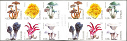 Luxembourg , Luxemburg , 2004,  Mi 1628 - 1633,  MH CARNET, SPEISEPILZE, POSTFRISCH - Postzegelboekjes