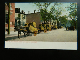 NEW ORLEANS               TRANSPORTATION OF COTTON BY ROAD             ATTELAGES DE CHEVAUX - New Orleans