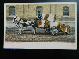 NEW ORLEANS               A TYPICAL COTTON CART            ATTELAGES DE CHEVAUX - New Orleans