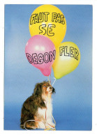 Humour -- " Faut Pas Se Dégonfler" ....chien , Ballons - Humor